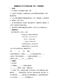 部编版语文中考考前拔高篇（四）（全国通用）