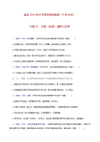 专题03  词语（成语）理解与运用-备战2022年中考语文精选题集（广东专用）