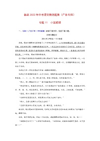 专题11  小说阅读-备战2022年中考语文精选题集（广东专用）