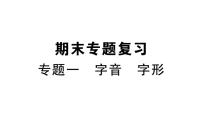 部编版初中语文九年级下册《专题一【字音，字形】》课件