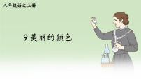 初中语文人教部编版八年级上册美丽的颜色课文配套课件ppt