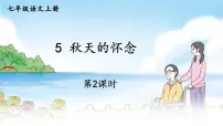 语文人教部编版5 秋天的怀念集体备课课件ppt
