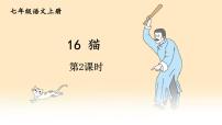 人教部编版16 猫教案配套课件ppt