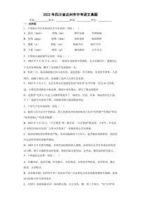 【中考真题】2022年四川省达州市中考语文试卷(附答案)