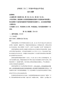2022年四川省泸州市中考语文真题(有答案)