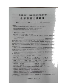 湖北省黄石市阳新县2021-2022学年七年级下学期期末考试语文试卷（含答案）