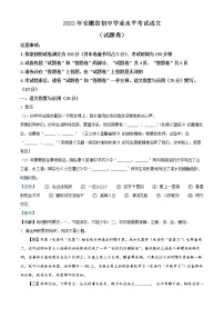 2022年安徽省中考真题语文卷及答案(文字版)