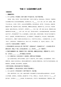 专题02 词语的理解与运用含解析版