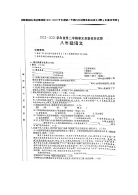 安徽省桐城市金神集团校2021-2022学年八年级第二学期期末检测语文试题（含答案）