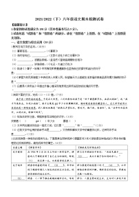 安徽省阜阳市临泉县2021-2022学年八年级下学期期末语文试题(word版含答案)