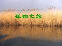 2020-2021学年17* 孤独之旅教学演示课件ppt