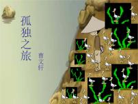 2020-2021学年17* 孤独之旅教案配套课件ppt
