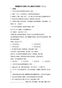 部编版语文暑假七年上册自学巩固卷（十三）