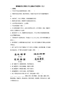 部编版语文暑假七年上册自学巩固卷（九）