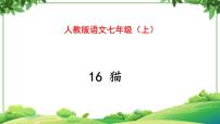 人教部编版七年级上册第五单元16 猫教学课件ppt