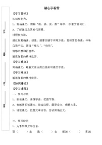 初中语文第三单元13* 湖心亭看雪学案及答案