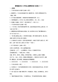 部编版语文七年级上册期末复习试题（一）