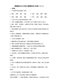 部编版语文九年级上册期末复习试题（十三）