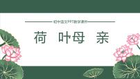 语文七年级上册荷叶·母亲教学演示ppt课件