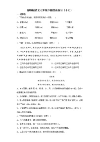 部编版语文七年级下册综合练习（十七）