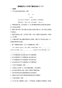 部编版语文七年级下册综合练习（十）