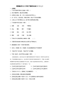 部编版语文七年级下册综合练习（十三）