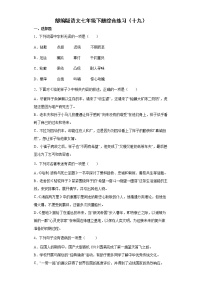 部编版语文七年级下册综合练习（十九）