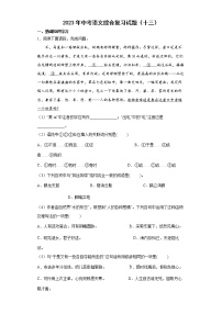 2023年中考语文综合复习试题（十三）