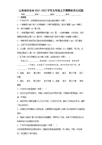 江西省高安市2021-2022学年九年级上学期期末语文试题(word版含答案)