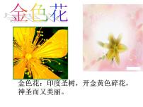 2021学年荷叶·母亲课文课件ppt