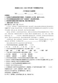湖北省黄石市阳新县2021-2022学年八年级下学期期末语文试题(word版含答案)