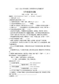 山东省菏泽市成武县2021-2022学年七年级下学期期末考试语文试题(word版含答案)