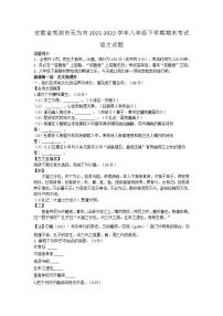 安徽省芜湖市无为市2021-2022学年八年级下学期期末考试语文试题(word版含答案)