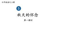 人教部编版七年级上册5 秋天的怀念图文课件ppt