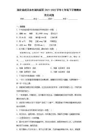 湖北省武汉市东湖高新区2021-2022学年七年级下学期期末语文试题(word版含答案)