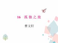 初中语文17* 孤独之旅图片ppt课件