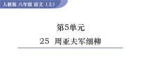 初中语文人教部编版八年级上册25* 周亚夫军细柳授课课件ppt