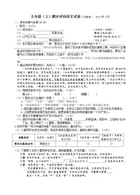 安徽省合肥滨湖寿春中学2021-2022学年九年级上学期期末考试语文试题(word版含答案)
