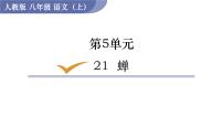 初中语文人教部编版八年级上册21* 蝉备课ppt课件
