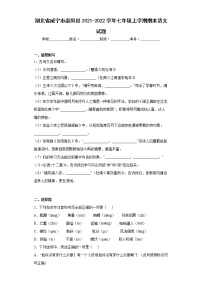 湖北省咸宁市崇阳县2021-2022学年七年级上学期期末语文试题(word版含答案)
