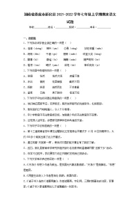 湖南省娄底市新化县2021-2022学年七年级上学期期末语文试题(word版含答案)