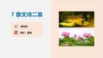 人教部编版七年级上册金色花备课ppt课件