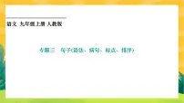 人教部编版语文九上《专题三 句子(语法、病句、标点、排序)》(期末专题练习PPT含答案)