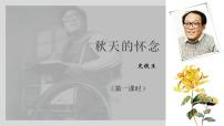 初中语文人教部编版七年级上册5 秋天的怀念备课课件ppt