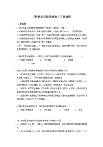 《钢铁是怎样炼成的》-中考必考文学名著 常考知识点+练习（含答案）