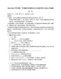 广东省惠州市惠阳区白石实验学校2022-2023学年九年级上学期入学检测语文试卷（含答案）