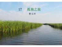 初中17* 孤独之旅示范课课件ppt