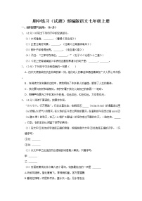 期中练习（试题）部编版语文七年级上册 (5)