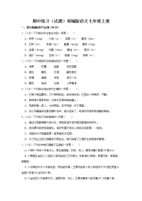 期中练习卷2022-2023学年部编版语文七年级上册(含答案)