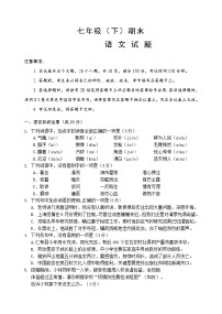 七年级下期末测试卷语文